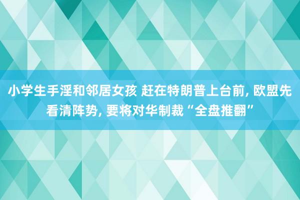 小学生手淫和邻居女孩 赶在特朗普上台前， 欧盟先看清阵势， 要将对华制裁“全盘推翻”