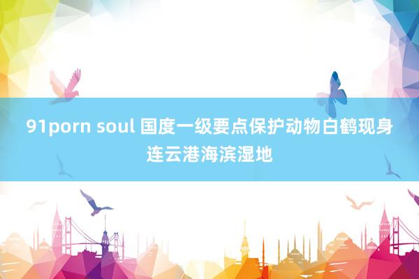 91porn soul 国度一级要点保护动物白鹤现身连云港海滨湿地