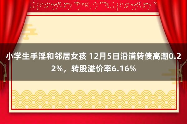 小学生手淫和邻居女孩 12月5日沿浦转债高潮0.22%，转股溢价率6.16%