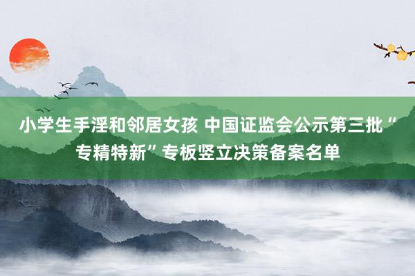 小学生手淫和邻居女孩 中国证监会公示第三批“专精特新”专板竖立决策备案名单