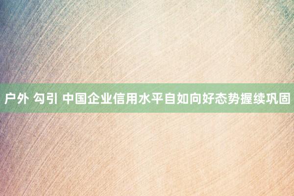 户外 勾引 中国企业信用水平自如向好态势握续巩固