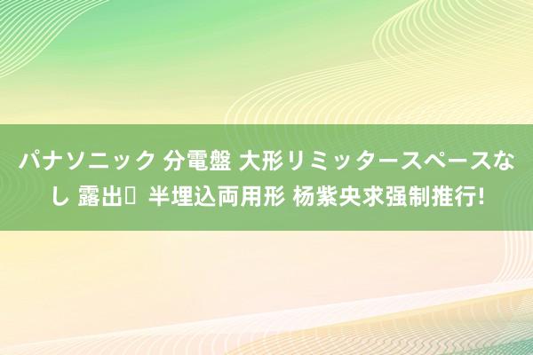 パナソニック 分電盤 大形リミッタースペースなし 露出・半埋込両用形 杨紫央求强制推行!