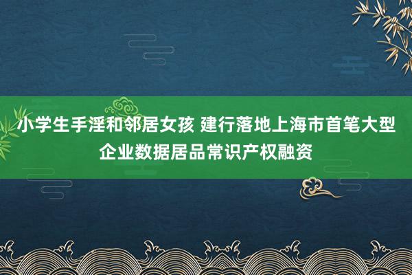 小学生手淫和邻居女孩 建行落地上海市首笔大型企业数据居品常识产权融资