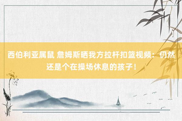 西伯利亚属鼠 詹姆斯晒我方拉杆扣篮视频：仍然还是个在操场休息的孩子！