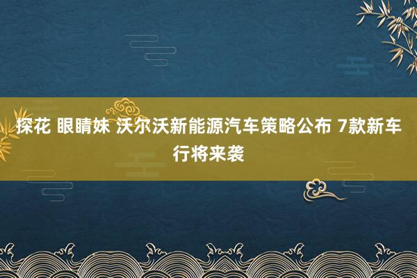 探花 眼睛妹 沃尔沃新能源汽车策略公布 7款新车行将来袭