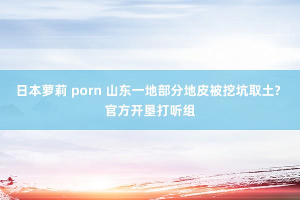 日本萝莉 porn 山东一地部分地皮被挖坑取土? 官方开垦打听组