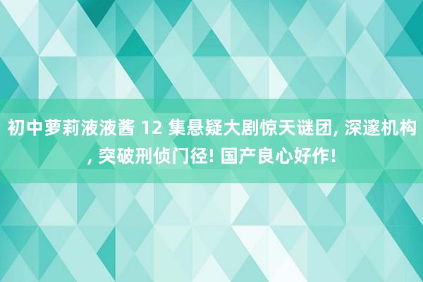 初中萝莉液液酱 12 集悬疑大剧惊天谜团， 深邃机构， 突破刑侦门径! 国产良心好作!