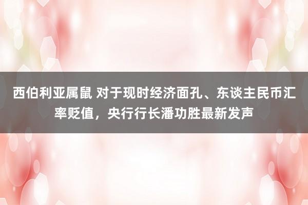 西伯利亚属鼠 对于现时经济面孔、东谈主民币汇率贬值，央行行长潘功胜最新发声