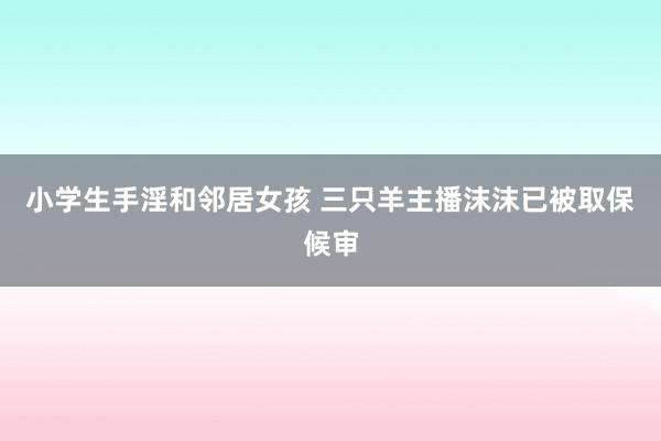 小学生手淫和邻居女孩 三只羊主播沫沫已被取保候审