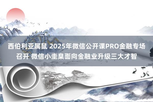 西伯利亚属鼠 2025年微信公开课PRO金融专场召开 微信小圭臬面向金融业升级三大才智