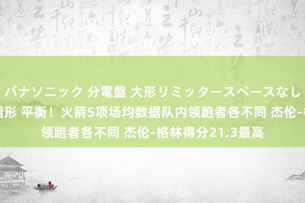 パナソニック 分電盤 大形リミッタースペースなし 露出・半埋込両用形 平衡！火箭5项场均数据队内领跑者各不同 杰伦-格林得分21.3最高