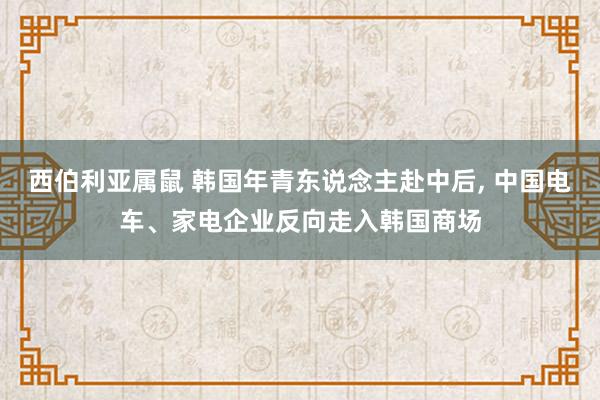 西伯利亚属鼠 韩国年青东说念主赴中后， 中国电车、家电企业反向走入韩国商场